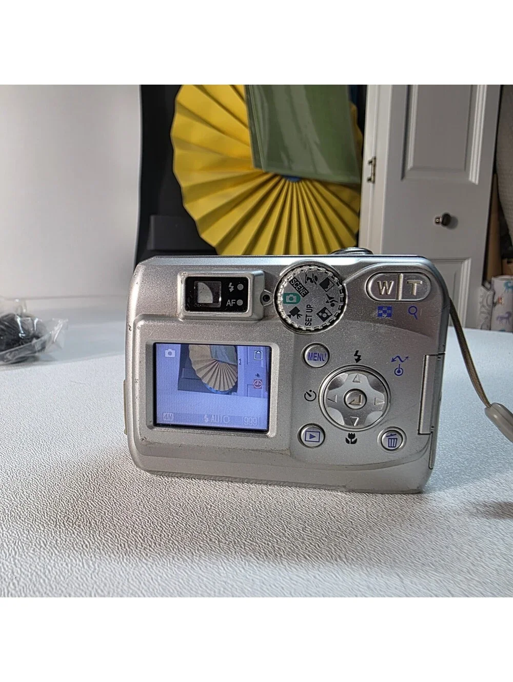 Nikon camera working